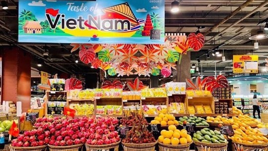 Embassy works to boost economic diplomacy between Vietnam, Thailand ảnh 1