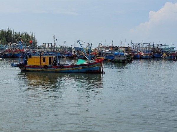 Vietnam works hard to prevent fishing vessels' infringement of foreign waters ảnh 1