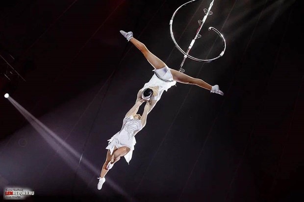 Vietnamese circus acts shine in international arena ảnh 1