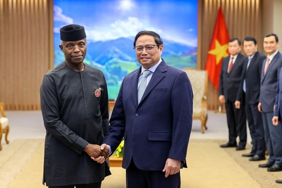 Prime Minister hails growing Vietnam-Nigeria ties ảnh 1