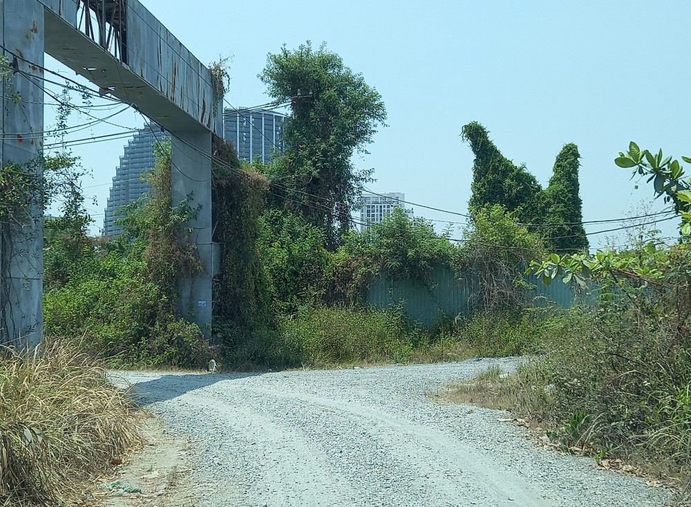 Started in 2016, but up to now, the Red Light Cape project is still just a bunch of abandoned land and overgrown reeds (Photo: SGGP) Started in 2016, but up to now, the Red Light Cape project is still just a bunch of abandoned land and overgrown reeds (Photo: SGGP)