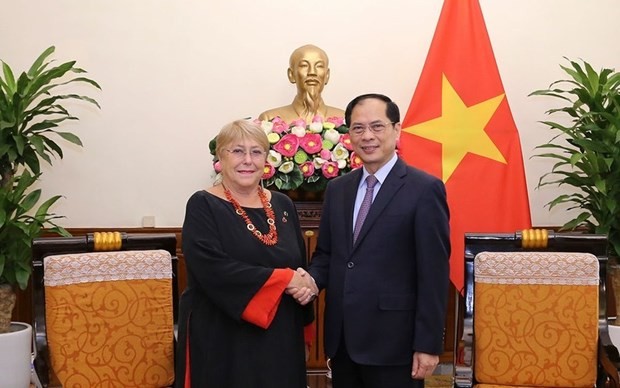 Minister of Foreign Affairs Bui Thanh Son (R) and former President of Chile Michelle Bachelet Jeria at their meeting in Hanoi on March 27 (Photo: nhandan.vn)