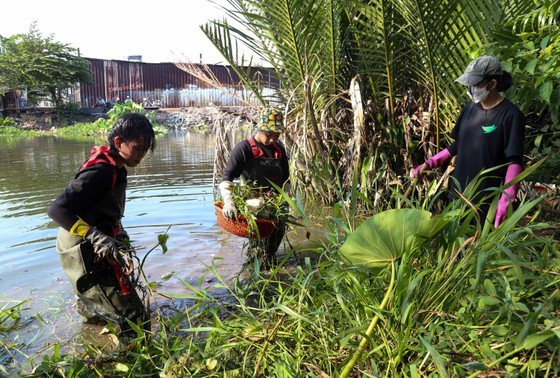 Young people clean the Lang 2 canal