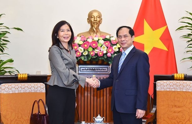 Foreign Minister Bui Thanh Son receives UN Resident Coordinator in Vietnam Pauline Tamesis in Hanoi on April 12 (Photo:baoquocte.vn)
