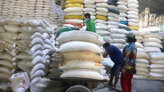 Rice is stored after harvesting