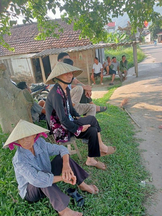 People sit under the shade of trees to enjoy the cool breeze