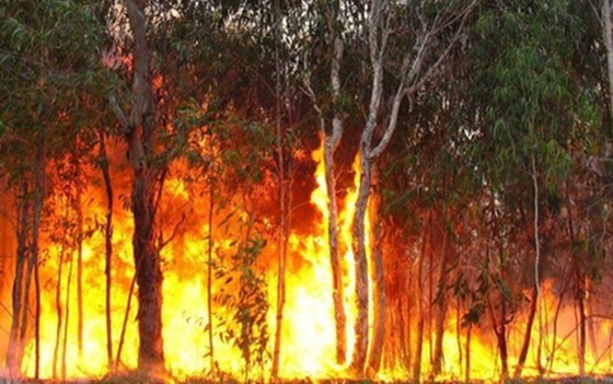 Brutal heat waves are gripping many localities across the country and a lack of rainfall has intensified forest fires