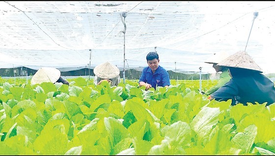 Tran Van Tam instructs his employees how to cut vegetables