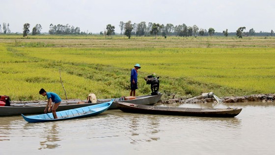 Farmers in the Mekong Delta are preparing for the new crop
