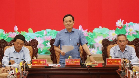 Deputy Prime Minister Tran Luu Quang at the conference
