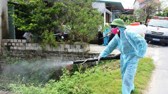 Hanoi sees more cases of dengue ảnh 1 Hanoi sees more cases of dengue ảnh 1