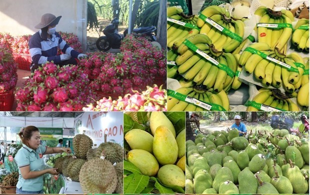 The 23rd Vietnam International Agriculture Trade Fair (AgroViet 2023) will take place in Hanoi from September 14-17. (Illustrative photo: VNA)