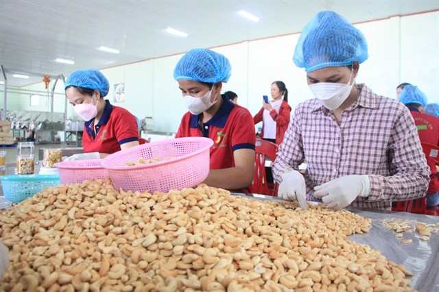 Cashew nuts packed at a factory in Binh Phuoc Province. — VNA/VNS Photo