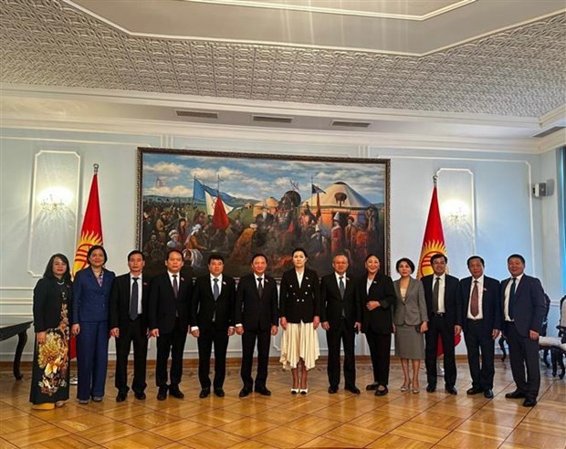 National Assembly (NA) Vice Chairman Nguyen Khac Dinh (sixth from left), Vice President of the Supreme Council of Kyrgyzstan Dzhamilia Isaeva (seventh from left), and other officials at the talks. (Photo: VNA)