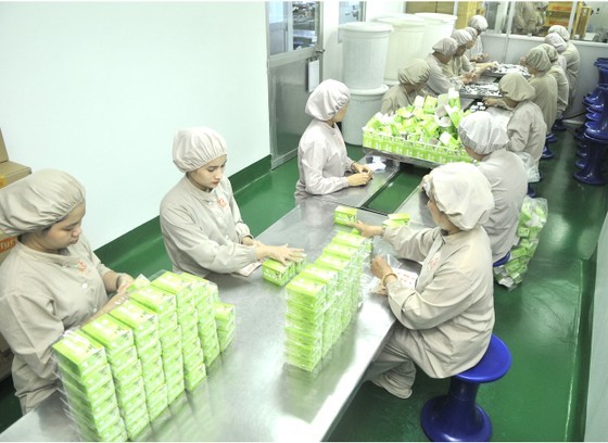 Vietnam’s pharmaceutical industry is expected to be on par with that of advanced countries in the region. (Photo: SGGP)