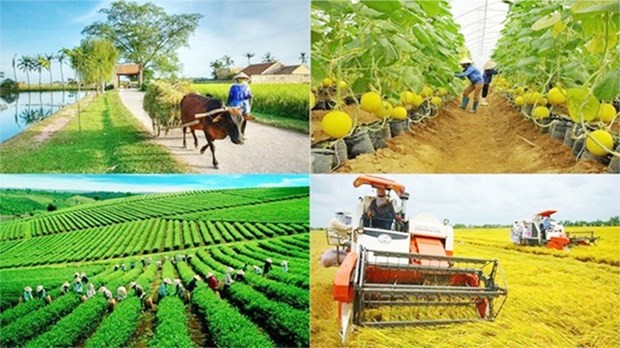 More special mechanisms are proposed to speed up national target programs (Photo: baochinhphu.vn)