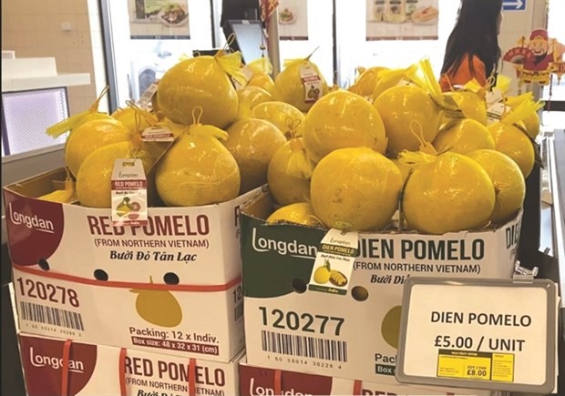 Dien pomelos on supermarket shelves in the UK. (Photo: VNA) Dien pomelos on supermarket shelves in the UK. (Photo: VNA)