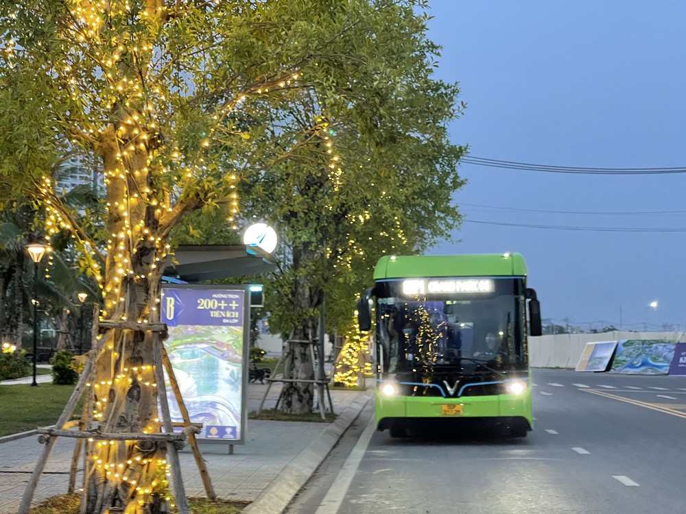 green-bus-8868.jpg