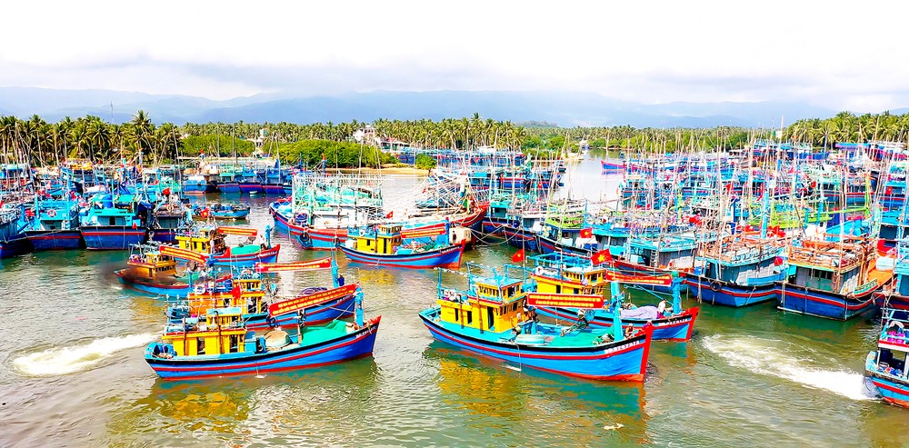 Fishing vessels in Binh Dinh Province