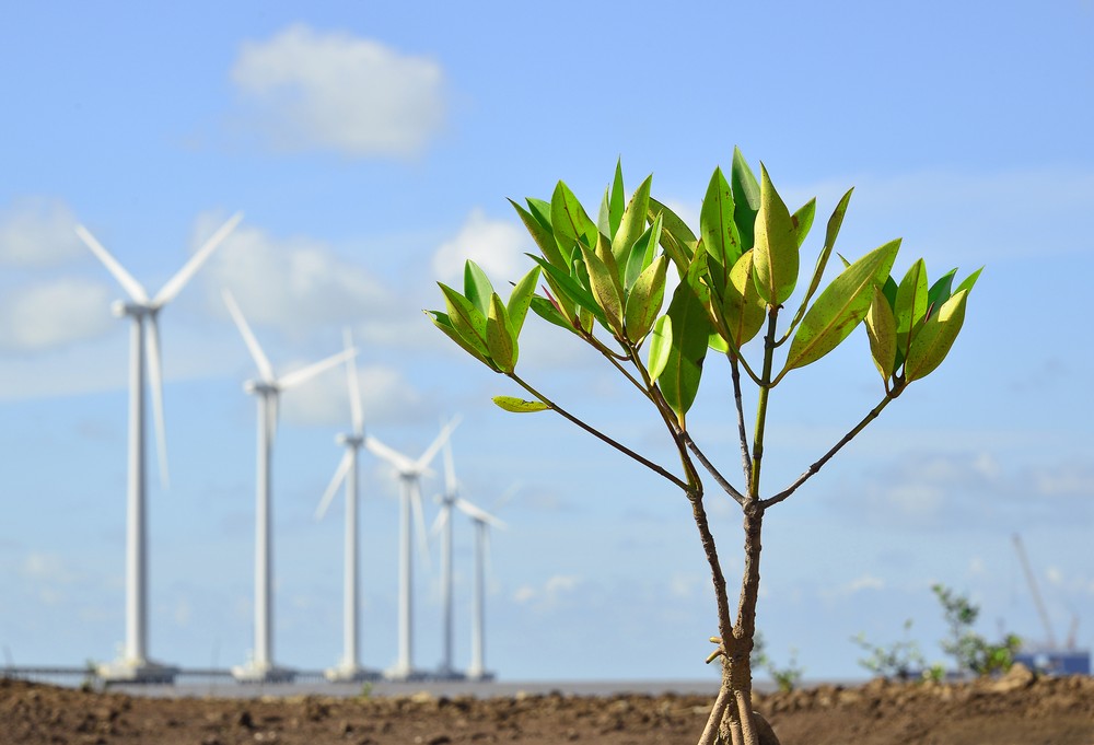 PSA Anh11-nguyen-xuan-han-0917033314-moi-truong-song-xanh-4868.jpg