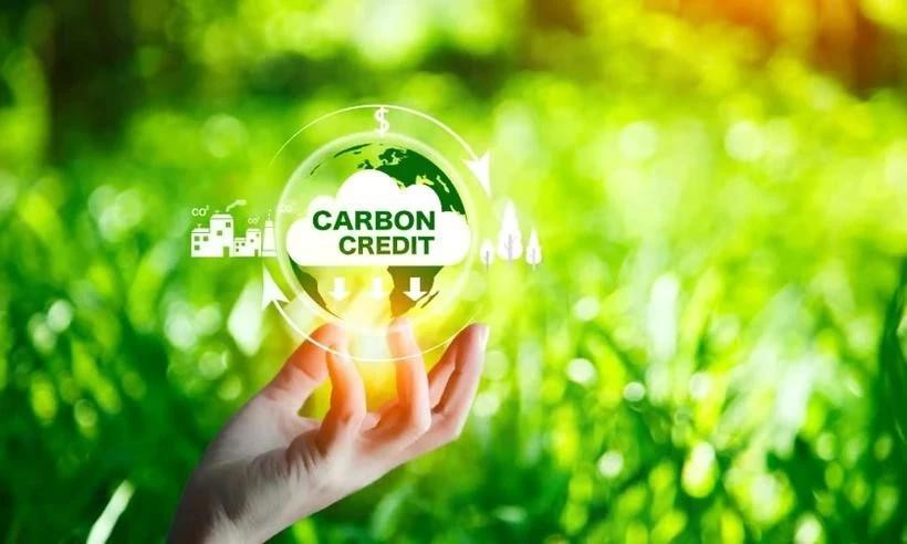 carbon-credit.jpg