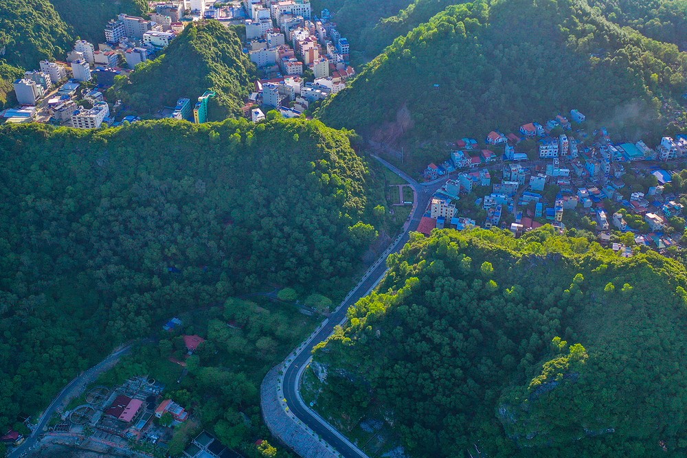 PSA Anh3-9-2- Rừng trong phố.jpg