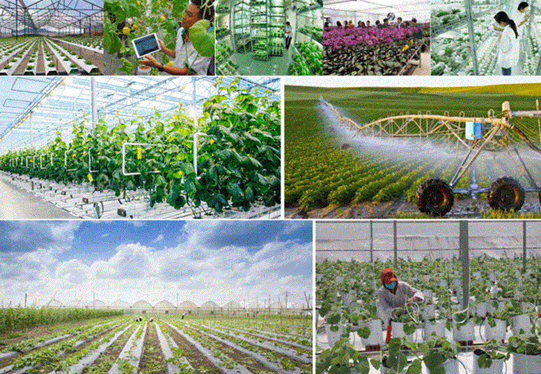 agriculture.jpg
