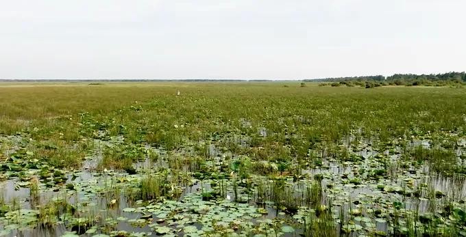 WWF Vietnam expands climate-resilient project in Mekong Delta