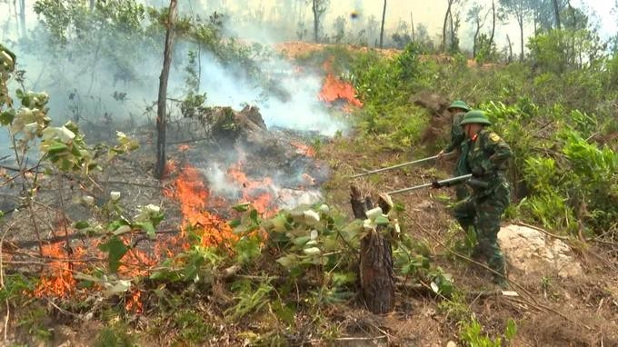 forest fire.jpg