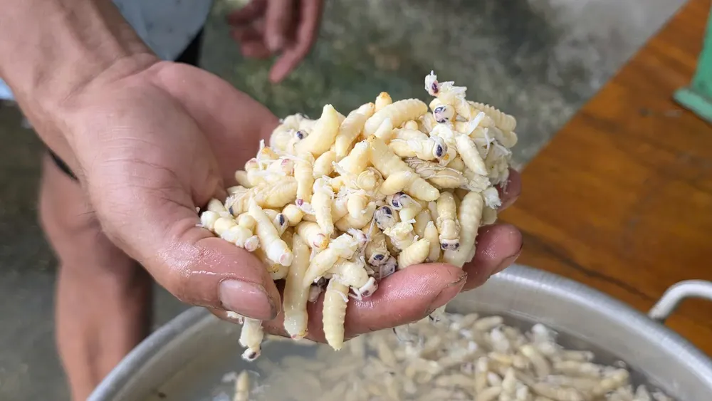 1786244597755-7905471608494410844-7905471608494410844-f9d147ca2b450dda6f042483dfc1d9eb-9297-4061.jpg