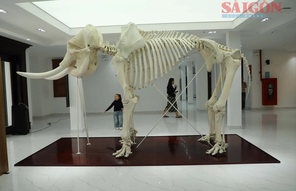 museum.jpg