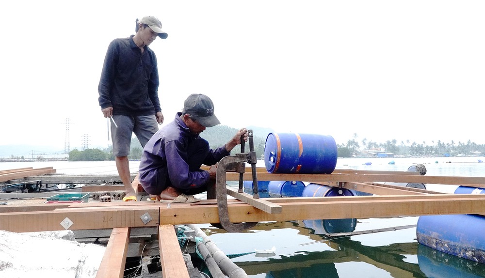 Aquaculture farmers in Cu Mong Lagoon (Dak Lak Province) use wood to construct fish-rearing rafts using traditional, high-risk methods. Photo: Ngoc Oai