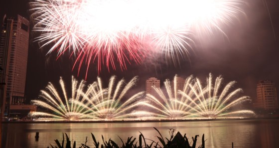 DIFF 2017 opens ảnh 6