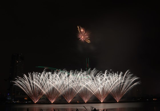 DIFF 2017 opens ảnh 7