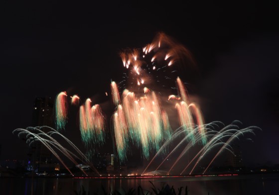 DIFF 2017 opens ảnh 8