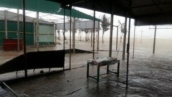 Typhoon Doksuri makes landfall in central provinces  ảnh 11