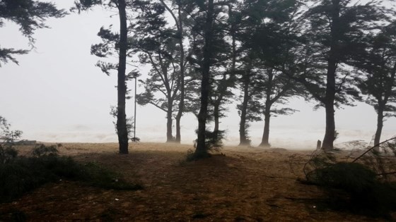 Typhoon Doksuri makes landfall in central provinces  ảnh 12