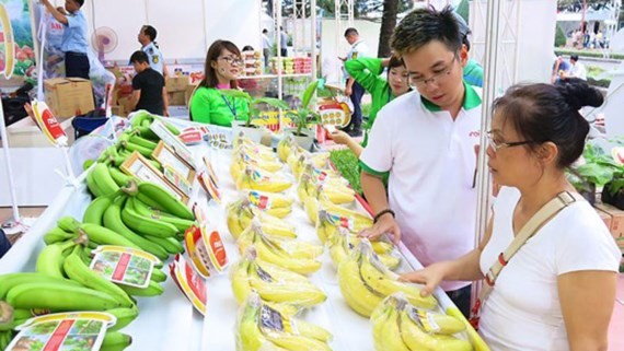 Illustrative photo:SGGP