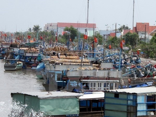 The tropical depression is moving towards the southern coast of the southernmost province of Ca Mau and is expected to directly affect coastal provinces from Ben Tre to Ca Mau and Kien Giang (Photo: VNA)