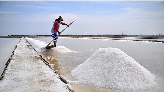 (Illustrative photo:SGGP)