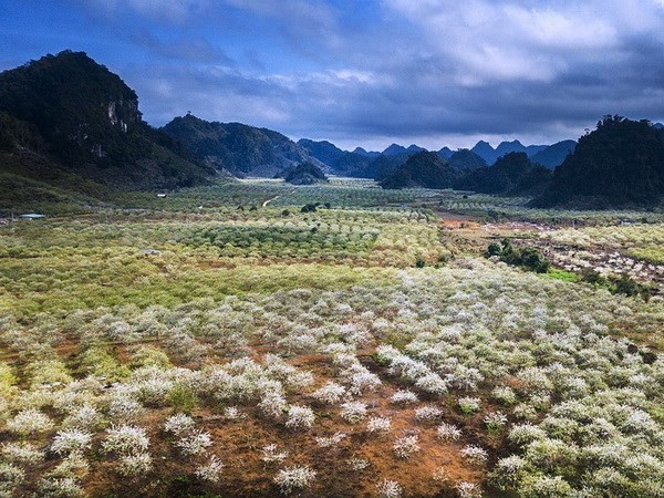 (Illustrative photo:VNA)