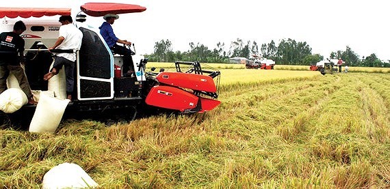 Free trade agreements create big opportunities for agriculture sector