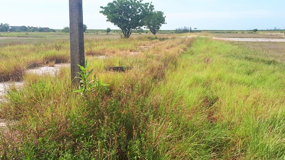 Ho Do salt field is deserted ảnh 14