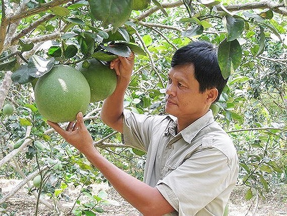 JICA Vietnam Office and VASS coordinate in the Provincial Socio-Economic Development Plan (P-SEDP 2021-2025) of Ben Tre and Ha Giang provinces