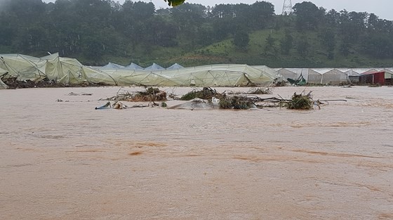 More than 1,350 houses inundated due to tropical downpours ảnh 10