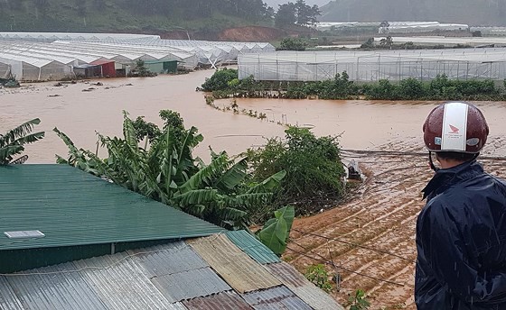 More than 1,350 houses inundated due to tropical downpours ảnh 4
