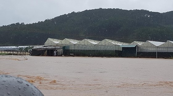 More than 1,350 houses inundated due to tropical downpours ảnh 3