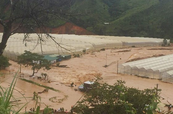 More than 1,350 houses inundated due to tropical downpours ảnh 2