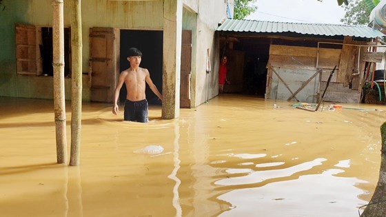 More than 1,350 houses inundated due to tropical downpours ảnh 6