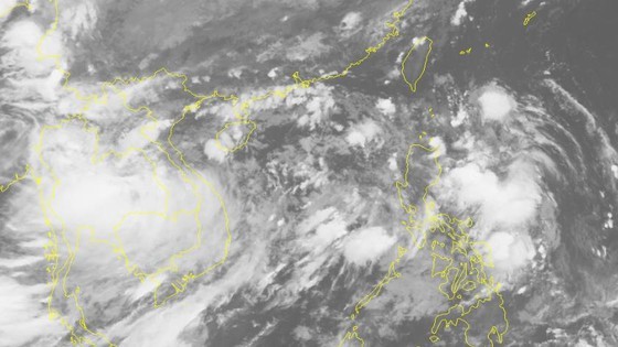 Typhoon Podul turns into tropical depression  ảnh 1
